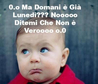 Immagine Divertente - 27/01/2013